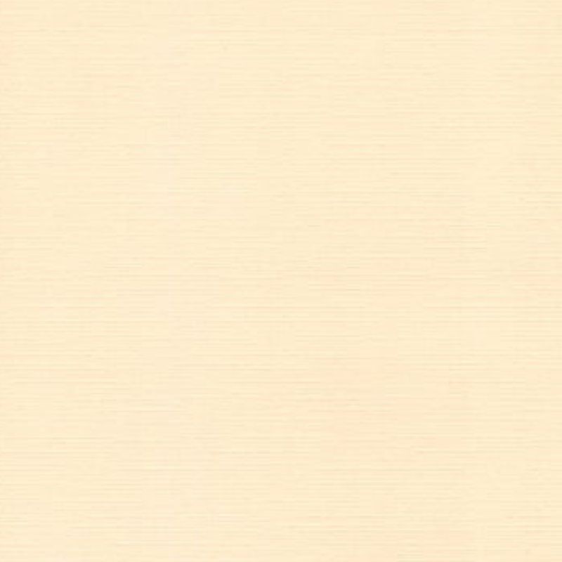 Card Deco Cardstock - Chamois - 1