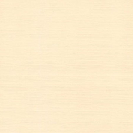 Card Deco Cardstock - Chamois - 1