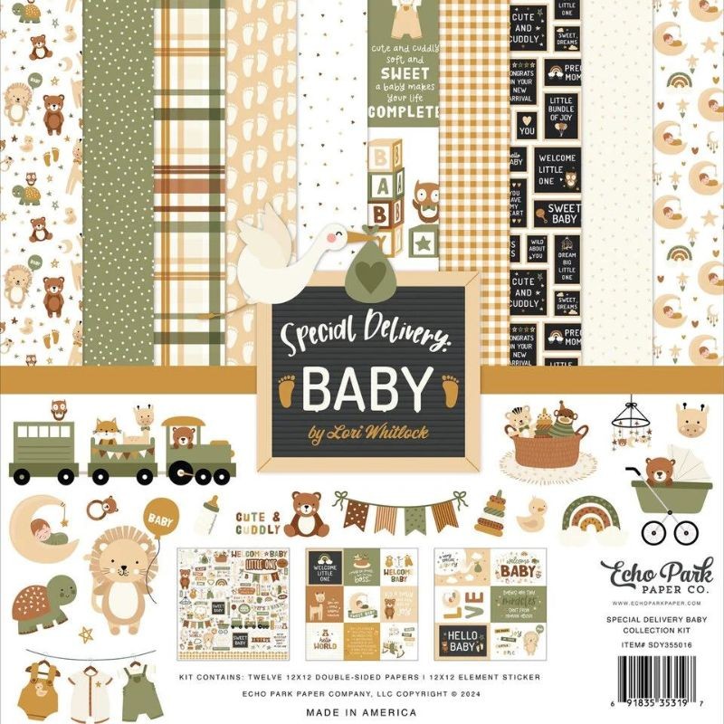 Echo Park Paper Pad - Special Delivery Baby Boy - 8