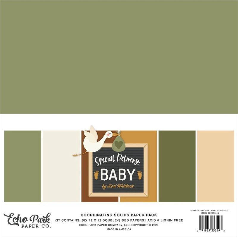 Echo Park Paper Pad - Special Delivery Baby Boy Coordinating - 4