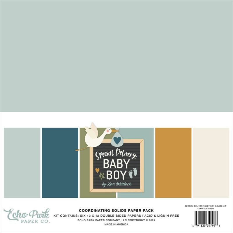 Echo Park Paper Pad - Special Delivery Baby Boy Coordinating - 1