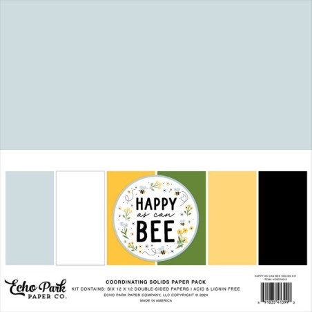 Echo park Paper Pad - Happy As Can Bee Coordinating - 1