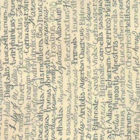 Tessuto Shabby – Garden Note 6098 14 - 1