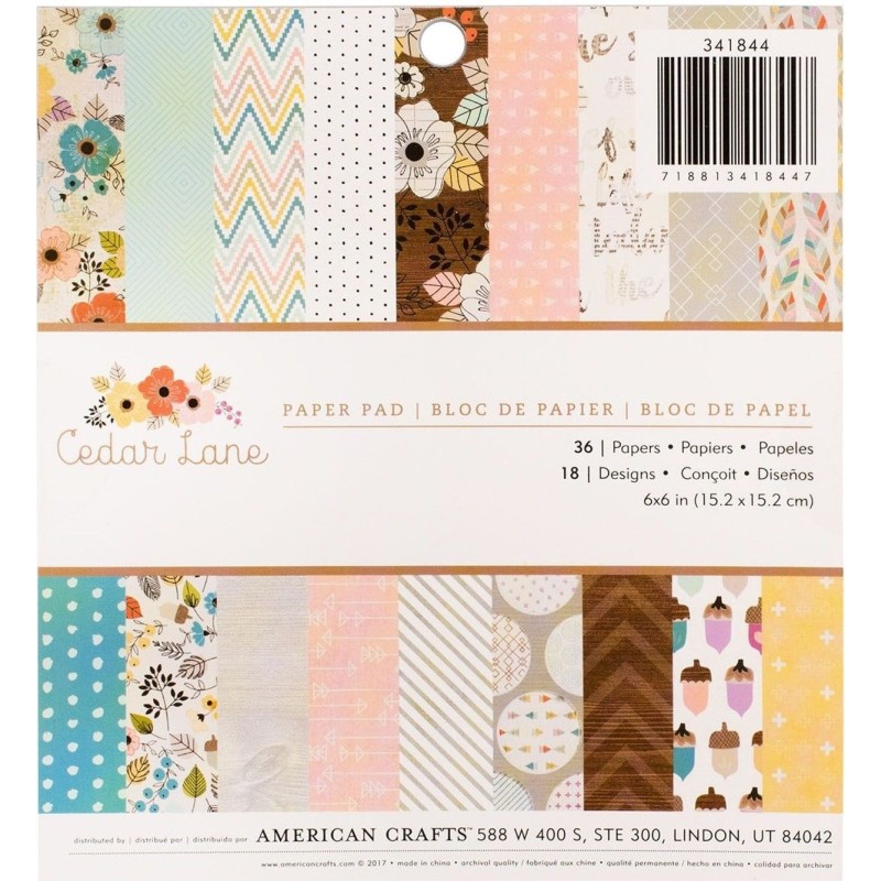 American Craft Paper Pad 15.2x15.2cm - 1