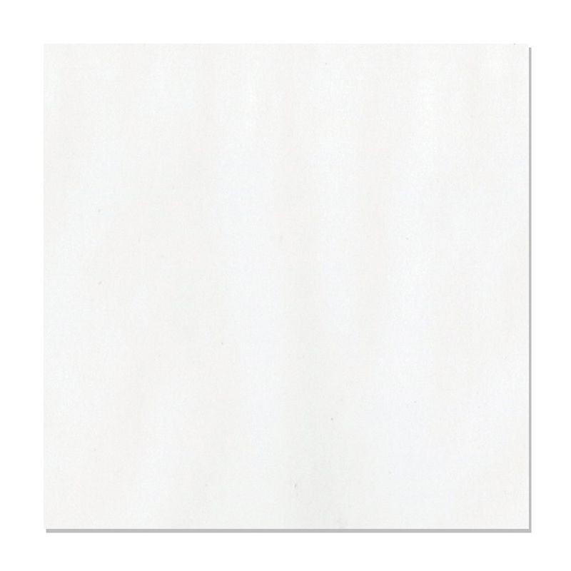 Bazzil - Vellum 12"x12" 29lb - 1