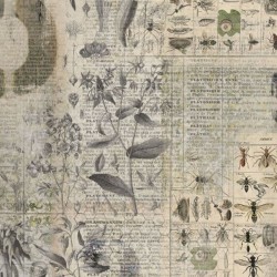 Tim Holtz - Eclectic Elements Entomology - 1