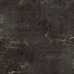 Tim Holtz - Eclectic Elements Cracked Shadow - 1