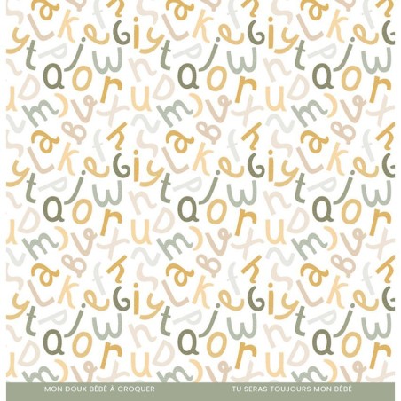 Florilegés Carte da Scrap-A Petit Pas Boy - 14