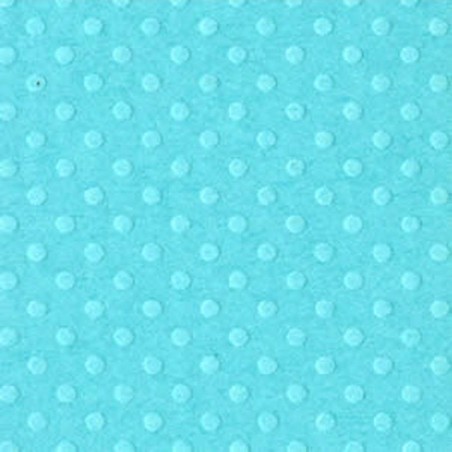 Bazzill - Dot Swiss Tahitian Princess 12"x12" - 1