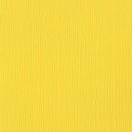 Bazzil - Mono Canvas 12"x12" Yellow - 1