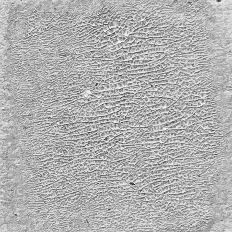 Ranger - Crackle Paint Translucent - 3