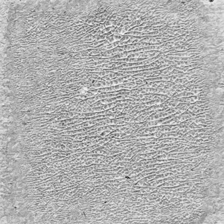 Ranger - Crackle Paint Translucent - 3