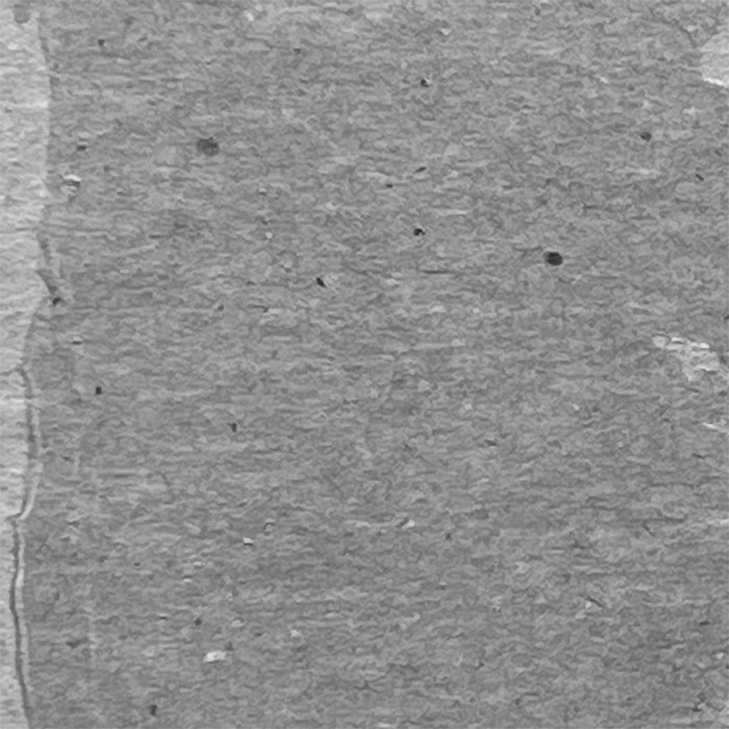 Ranger - Texture Paste Translucent - 3